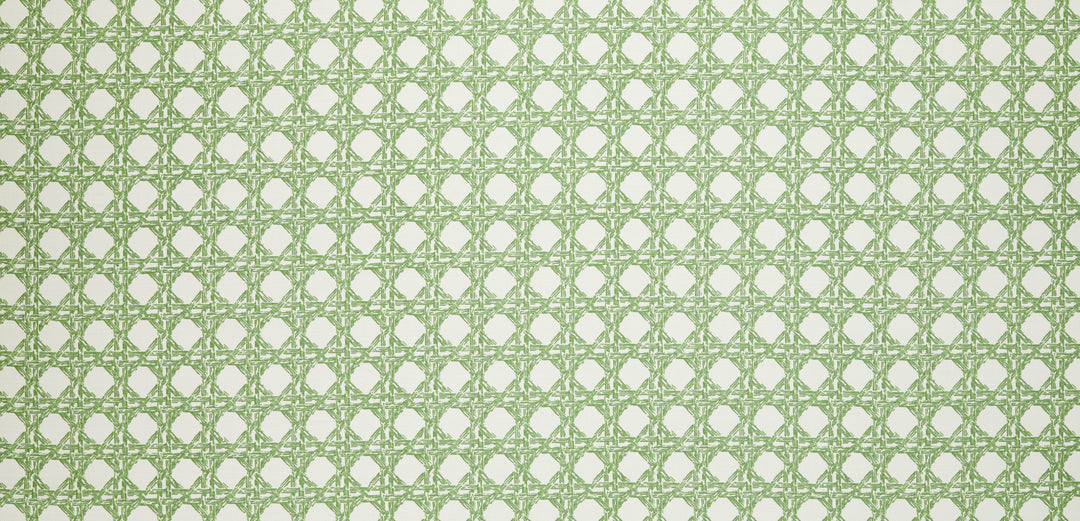 Nevis Fabric in Moss