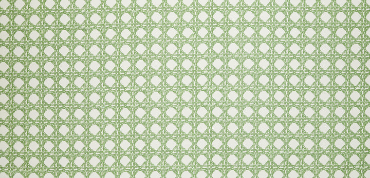 Nevis Fabric in Moss