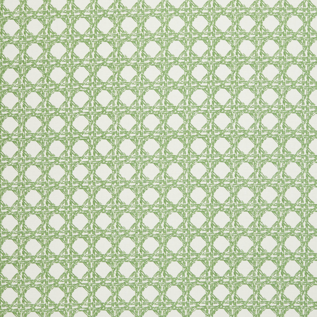 Nevis Fabric in Moss