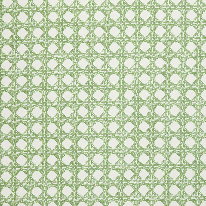 Nevis Fabric in Moss