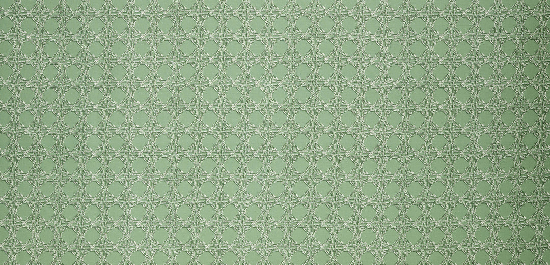 Nevis Fabric in Sage