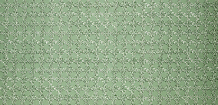 Nevis Fabric in Sage