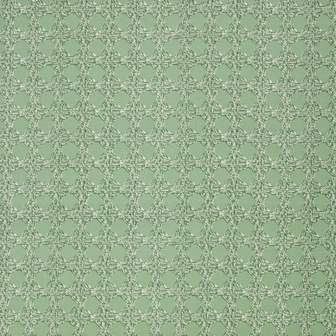 Nevis Fabric in Sage