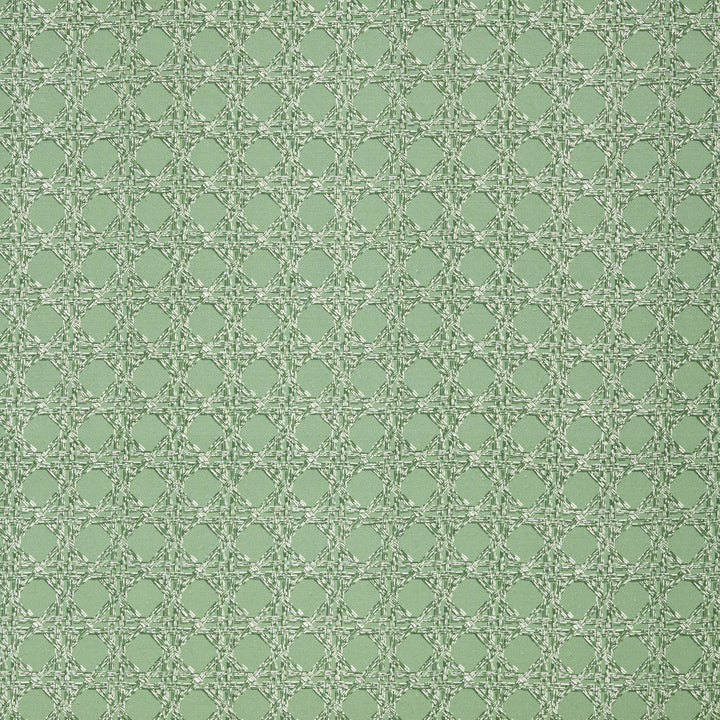 Nevis Fabric in Sage