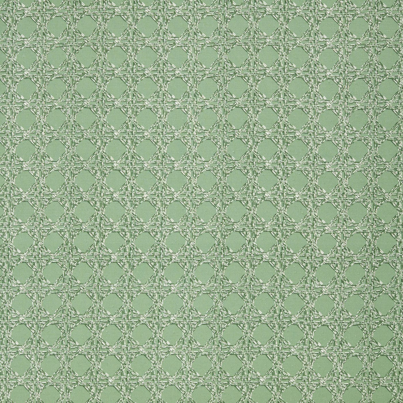 Nevis Fabric in Sage