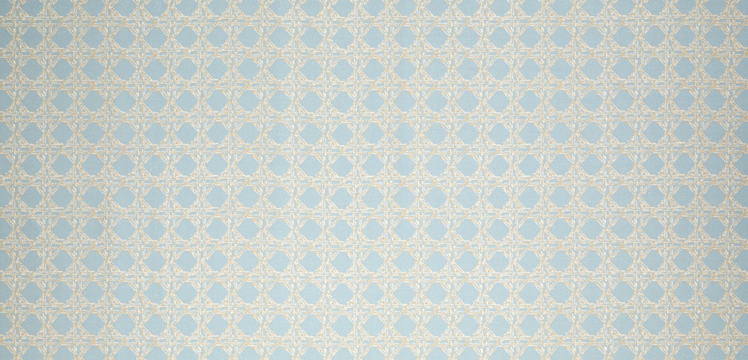 Nevis Fabric in Duck Egg