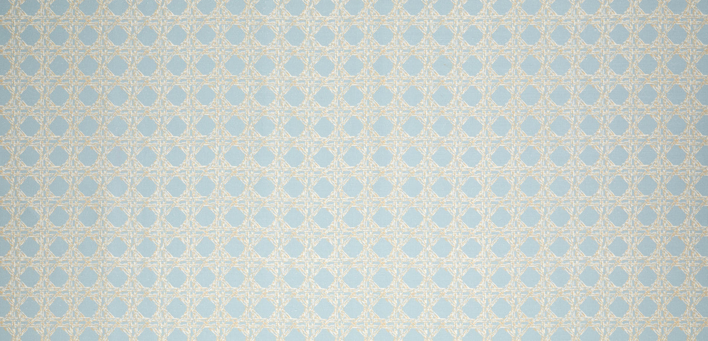 Nevis Fabric in Duck Egg