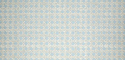 Nevis Fabric in Duck Egg