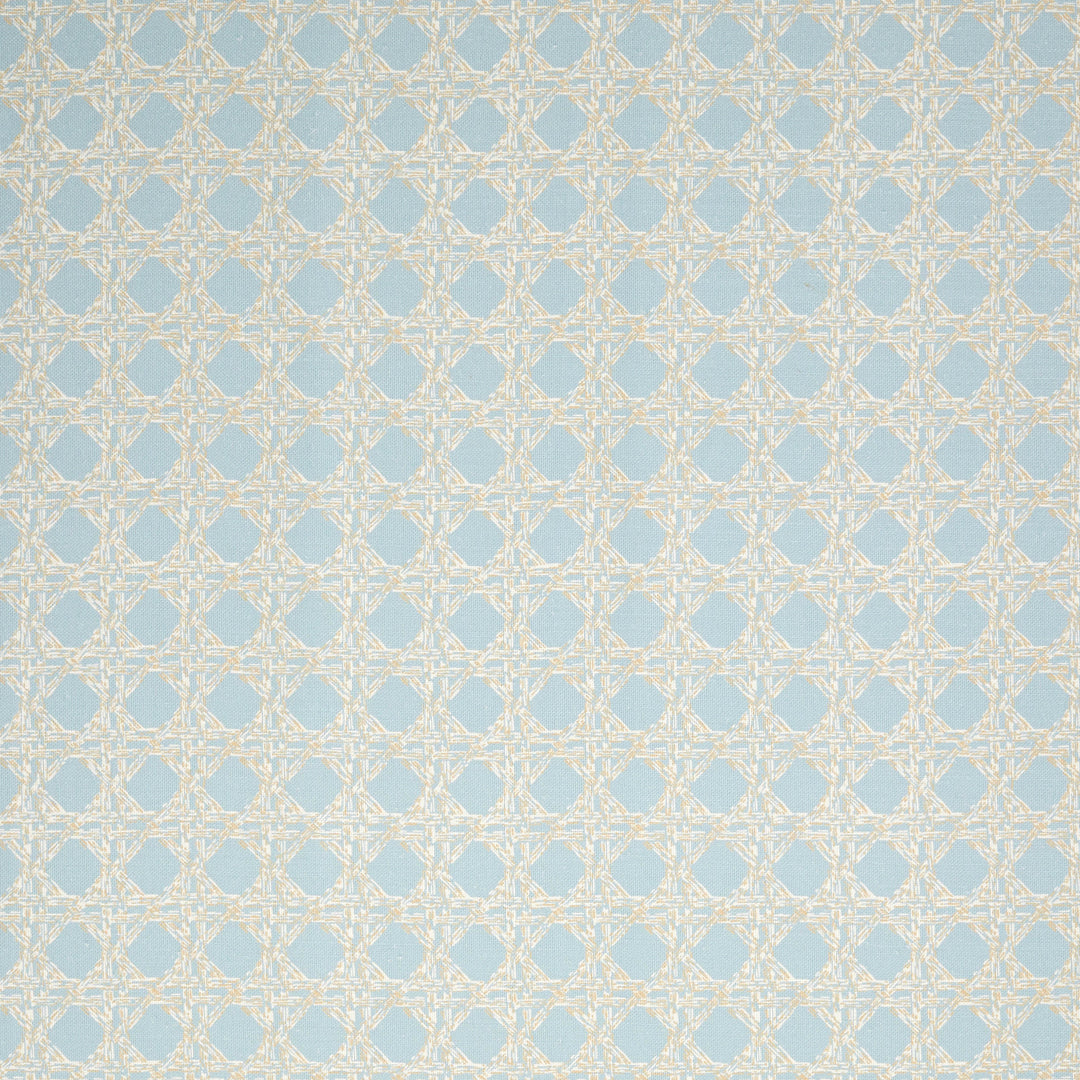 Nevis Fabric in Duck Egg