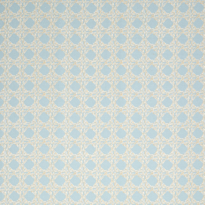 Nevis Fabric in Duck Egg