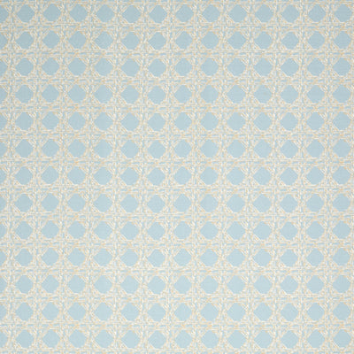 Nevis Fabric in Duck Egg