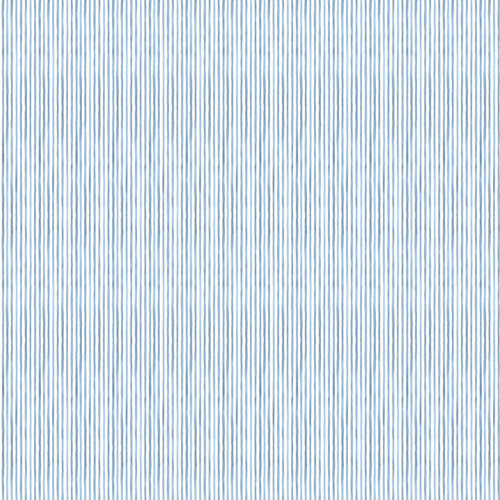 Nantucket Fabric in Sky