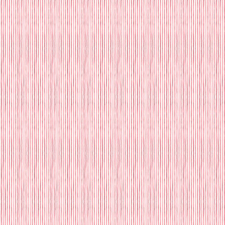 Nantucket Fabric in Watermelon
